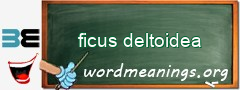 WordMeaning blackboard for ficus deltoidea